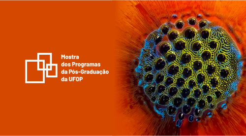 X MOSTRA DOS PROGRAMAS DE PÓS-GRADUAÇÃO
